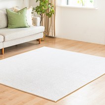 99.9% 항균 브릿지 단모 러그 거실 카페트