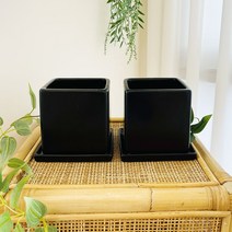 앙플랜트 모던 사각 세라믹 화분 2p, 블랙