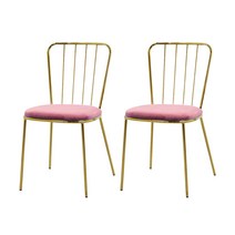 지엠퍼니처 라인 골드벨벳 인테리어 의자 2p, 핑크