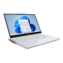 레노버 2022 리전 5i 15ITH, stingray White, 82JH00DYKR, 코어i7 11세대, 1024GB, 8GB, WIN11 Home