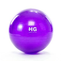 HG 안티버스트 스트라이프 짐볼, 퍼플