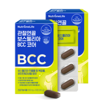 뉴트리원 관절 연골 보스웰리아 BCC 코어 가자추출물 강황추출물, 30정, 2개