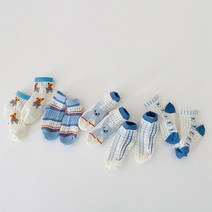 돌핀웨일 아동용 매쉬 삭스 5켤레 세트