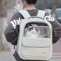 [스페이스캣투명창백팩형강아지] 스페이스캣 우주선 반려동물 고양이 강아지 이동장 가방 백팩, 네이비