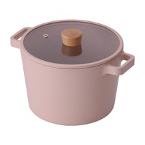 네오플램 피카 오브제 인덕션 IH 곰솥 냄비 미니피치 285 x 220 x 155 mm, 혼합색상, 22cm