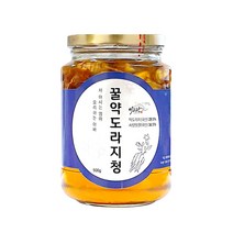 이고장식품 꿀약도라지청, 500g, 1개