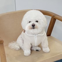 바이담수미 강아지 파스텔 카라 후리스, 아이보리