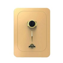 엘르시 지문인식 사무용 가정용 금고 ELS-600F, 골드브라운