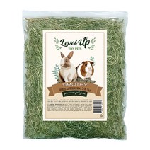 레벨업 내추럴 티모시 건초 토끼 기니피그 사료, 1kg, 1개