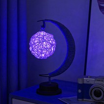 어썸리브 LED 로프 무드등 USB 모델 타입, 11 블루레이 세팍타크로