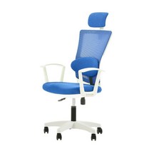 바른자세연구소 학생 사무용 메쉬 바른 체어 바른자세 세트, 화이트 + 오션블루