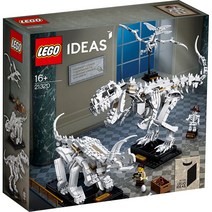 레고 국내재고 아이디어스21320 공룡 화석 LEGO IDEAS 정품