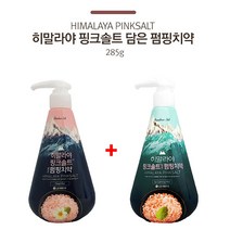 승호닷컴 [1+1] LG 페리오 펌핑치약285g 히말리야핑크솔트 아이스카밍민트+플로랄민트 위생적인 펌프형 치약 젤타입치약, 1set