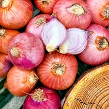 샬롯 미니양파 보라양파 에샬롯 hanh tim shallot 500g, 1개