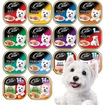 시저 주식캔 100g 강아지 사료 간식, 허브 딜과 치즈 쇠고기 100g