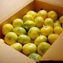 제주 효돈 하우스 감귤 노지 타이백 비가림 고당도 가정용 귤, 꼬마(2S미만)/19-24과, 1kg, 1개