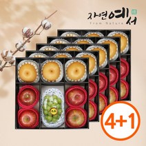 [초록자연] 명품 혼합 1호 과일선물세트 5개입, 없음
