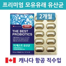 모유유래 유산균 포스트바이오틱스 프로바이오틱스 프리바이오틱스 가루 분말 캡슐 락토바실러스 가세리 람노서스 17종 LGG 500억 100억보장 임산부 여성 청소년 식약처 인증, 2박스