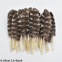 도매 천연 공작 꿩 깃털 작은 닭 거위 플라이 묶는 재료 수공예 액세서리 장식, 20 Piece, Size 6-10CM