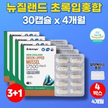 코스트코 초록입 그린 홍합 오일 초롱잎 초롱이 푸른 홍합 추출물 GREENLIPPED 운동 뼈 고관절 무릎 30대 40대 50대 60대 70대 노인 남성 남자 영양제, 4박스