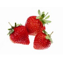 허브야 닷컴 딸기 플레이버오일(식향) 비누 립밤사용가능 10ml