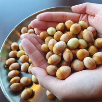 국내산 햇 깐 은행(생물) 2kg / 양이 많아요(500알 내외) 알갱이만 손질