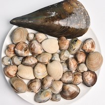 모듬조개세트2kg 캠핑조개 조개구이 2인분, 상세페이지 참조