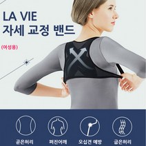 퀸즈앤킹스 여성전용 라비 어깨교정밴드 자세교정밴드 굽은등교정기, L사이즈