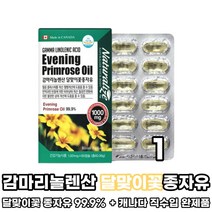 감마리놀렌산 종자유 달맞이 꽃 씨유 오일 기름 감마리노렌산 감마리놀레산 GLA 감마리놀산 비타민E 달맞이유 달마지우 달마지꽃 종자유 먹는법, 1박스, 달맞이꽃종자유 영양제 60캡슐