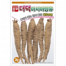 (더덕씨앗종자) 더덕·양유(3g), 1개