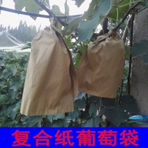 Shengfu 복합 종이 포도 포장 Kyoho 특수 과일 포장 종이 봉투 음영 방수 곤충 방지 질병 방지 및 오염 방지, 32  38 외부 노란색 내부 블랙 더블 레이어