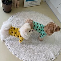 강아지옷 곰돌이 패턴 티셔츠 소형견 의류, 민트