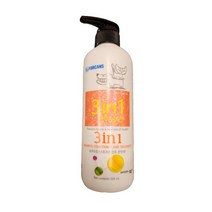 PH 포켄스 3in1 샴푸 린스 550ml