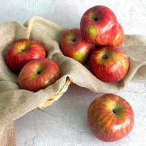 [더조은푸드] 경북 부사 사과 가정용 5kg 29-33과, 상세 설명 참조