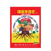 대유 부리오 500g, 1개
