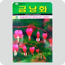 금낭화씨앗 20립 금낭화 꽃 허브 야생화 씨앗