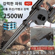 블로어 다기능 고출력 리튬 송풍기 충전식 소형 차량용 먼지 제거기, 헤어 드라이어, 유럽 규칙, 1개