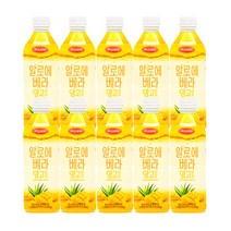 비스비타 알로에베라 망고 음료, 500ml, 10개