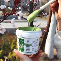 나무 접목 상처 연고 코팅제 톱신 페스트 도포제, Guozheng 200g 치유 에이전트 (브러시 보내기, 200g, 1개