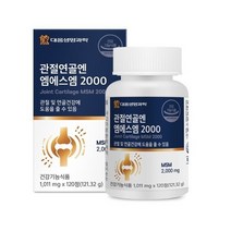관절연골엔 엠에스엠 2000 120정, 1개