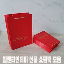 선물용 쇼핑백 비비드 종이가방 10장 세트 발렌타인데이 화이트데이 결혼식 버스 간식 답례품 선물쇼핑백, 선물용 쇼핑백 비비드 종이가방 레드 대형 10장