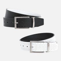 뉴욕트레이딩(연합) 나이키 골프 퍼포레이티드 양면 리버시블 벨트 1111301, WHITE_BLACK/32