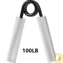 개발자 실내자전거렌탈 손목 복근기구, 100LB