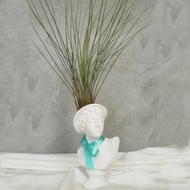 아트박스/모리아트 대만여인 석고상화분 틸란드시아 준세아+모스+리본, 아폴로