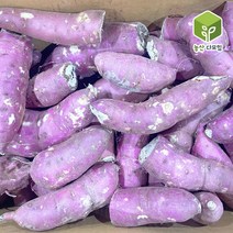 국내산 꿀밤 파 못난이고구마 10kg, 단품