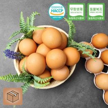 경기 남양주 친환경 유정란 무항생제, 60구