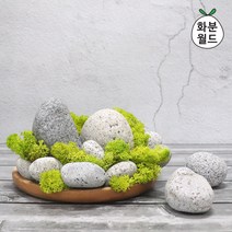 화분월드 에그스톤 소포장, 에그석 3호(1kg)