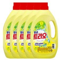 애경 항균 트리오 주방세제 1kg X 5개