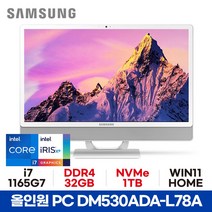 삼성 올인원PC DM530ADA-L78A - 32GB 1TB WIN11 HOME 사무용 가정용 공간활용 일체형PC ED