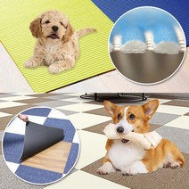 매트 카펫 고양이 미끄럼방지 강아지카페트 슬개골탈구 캣 타워 애견매트 스크래쳐 홈스월드, 23. PVC롤매트 1m 그린